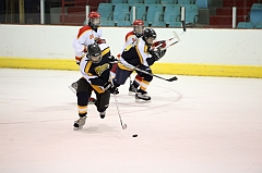 C5D_005570