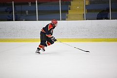C5D_007176