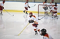 C5D_009036