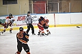 C5D_009335