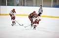 C5D_009380