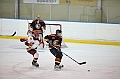 C5D_009495