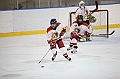 C5D_009509