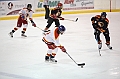 C5D_009513