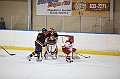 C5D_009556