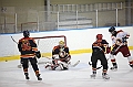 C5D_009800