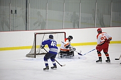 C5D_010541