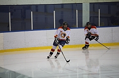 C5D_011066