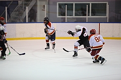 C5D_011838