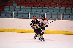 C5D_013119-2