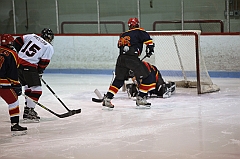 C5D_016508