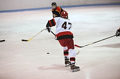C5D_016533