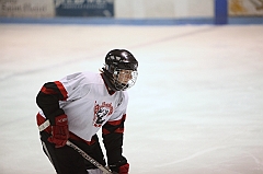 C5D_016565