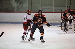 C5D_016808