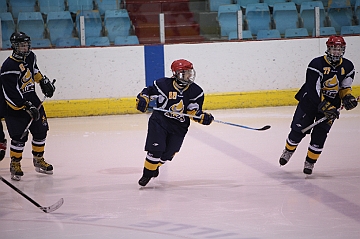C5D_017461