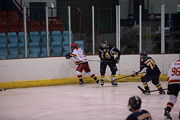 C5D_017600