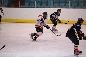 C5D_017629