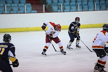 C5D_017720