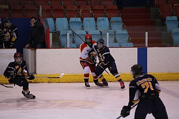 C5D_017740