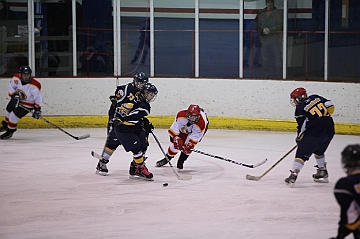 C5D_017819
