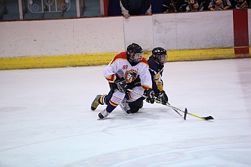 C5D_017831