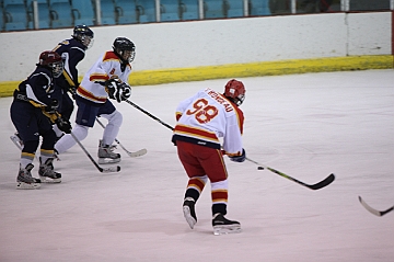 C5D_017902