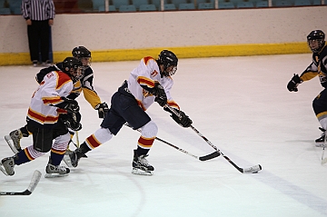 C5D_017916