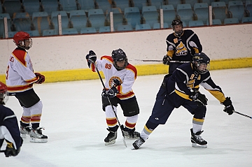 C5D_017919
