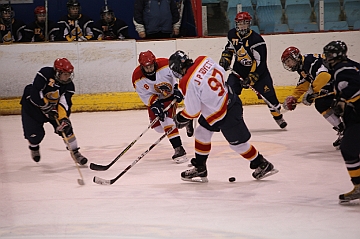 C5D_018017