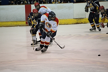 C5D_018018