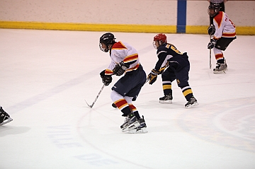 C5D_018086