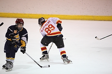 C5D_018099