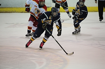 C5D_018165