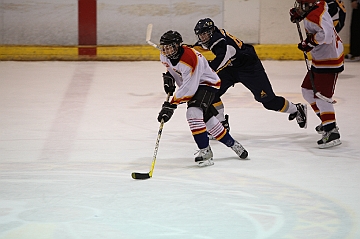 C5D_018175