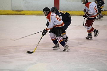 C5D_018176