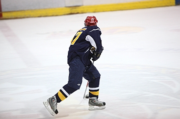 C5D_018313