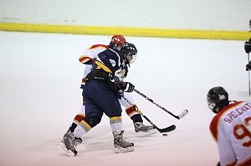 C5D_018666