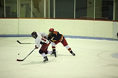 C5D_019499