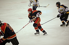 C5D_020360