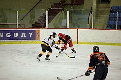 C5D_020446
