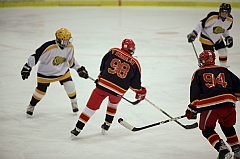 C5D_020491