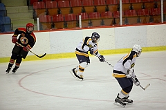 C5D_020508