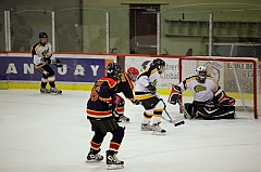 C5D_020811