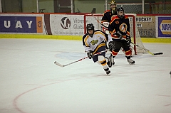 C5D_020949
