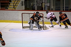 C5D_021909