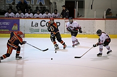 C5D_022009