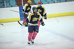 C5D_025185