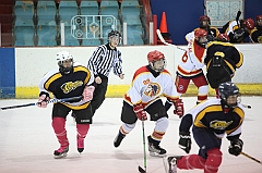 C5D_025597