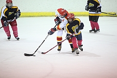 C5D_025769