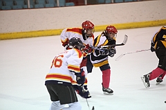 C5D_025876